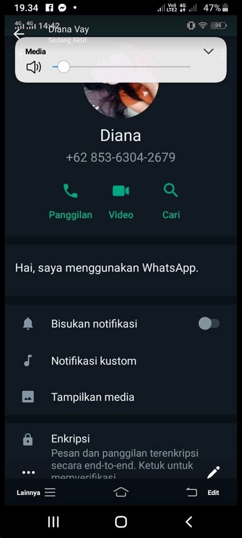 pecintaibu2434 @pecintaibu2434 , Twitter Profile .